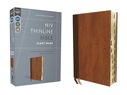 NIV Thinline Bible Giant Print