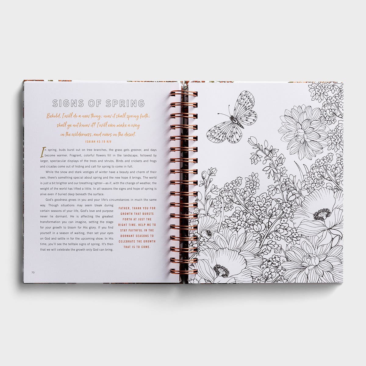 Set Your Mind on Things Above: Devotional Coloring Book